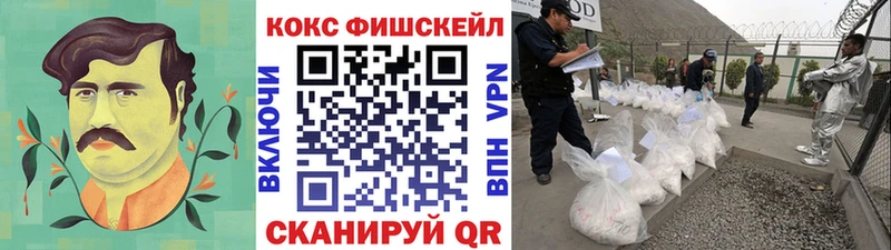 COCAIN FishScale  MEGA зеркало  darknet официальный сайт  Кириллов 