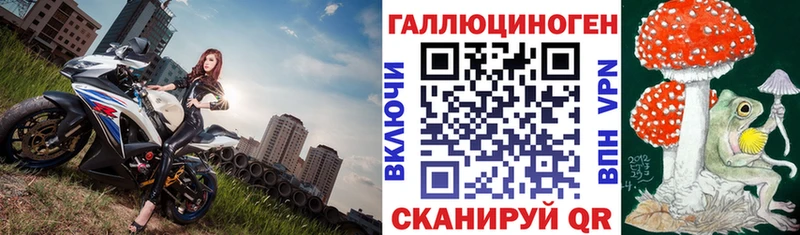 мега как войти  купить   Кириллов  Псилоцибиновые грибы мицелий 